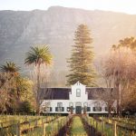 Wine and Brewery Tours in South Africa